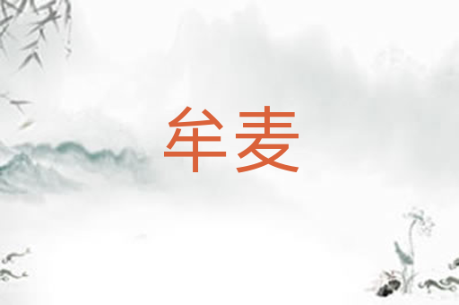 牟麦