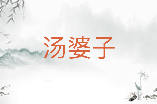 汤婆子