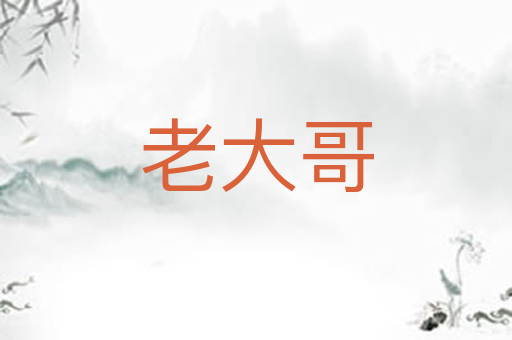 老大哥