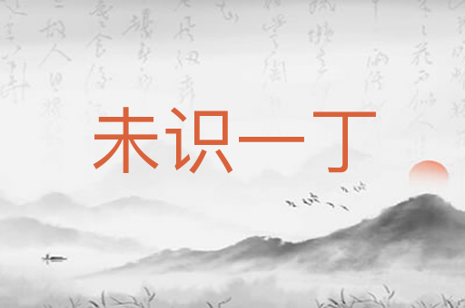 未识一丁
