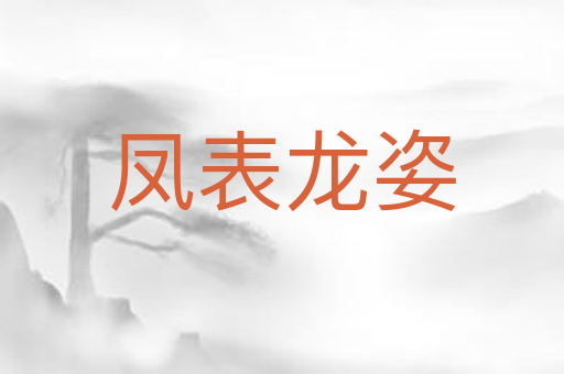 凤表龙姿