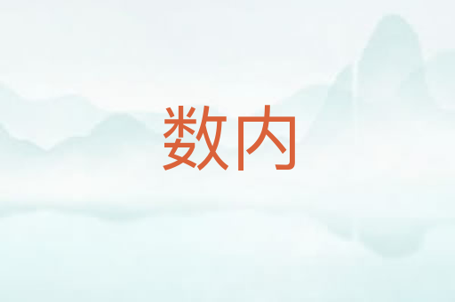 数内
