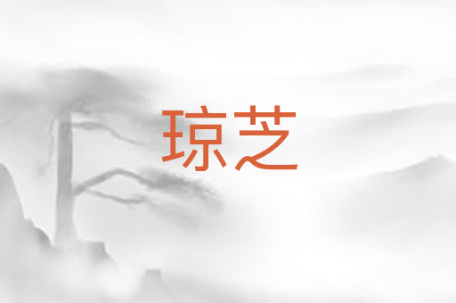 琼芝