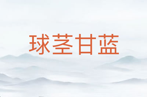球茎甘蓝