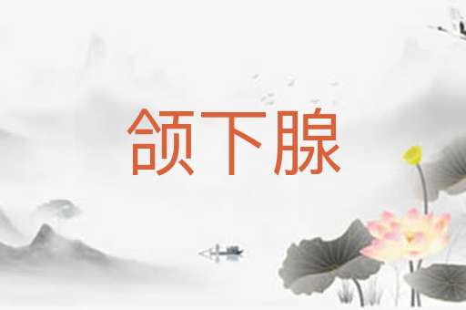 颌下腺