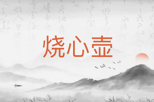 烧心壶