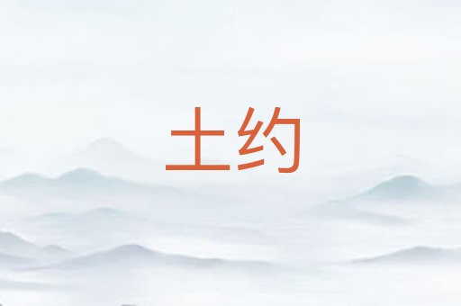 土约