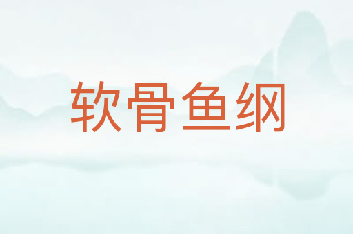 软骨鱼纲
