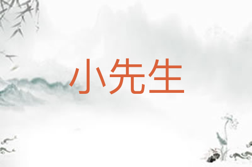 小先生