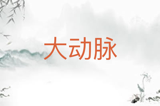 大动脉