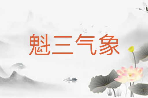 魁三气象