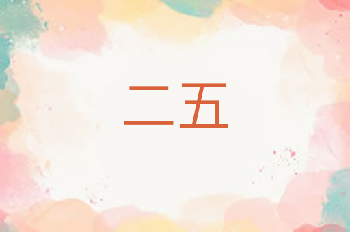 二五