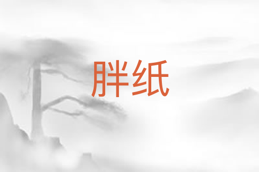 胖纸