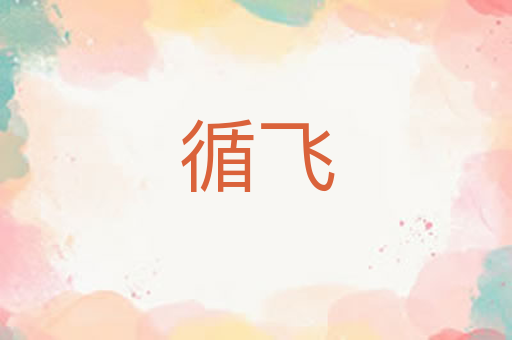 循飞