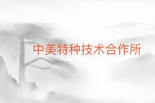 中美特种技术合作所