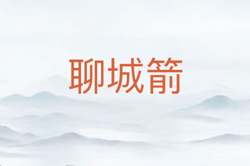 聊城箭