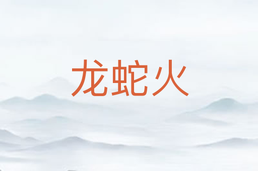 龙蛇火