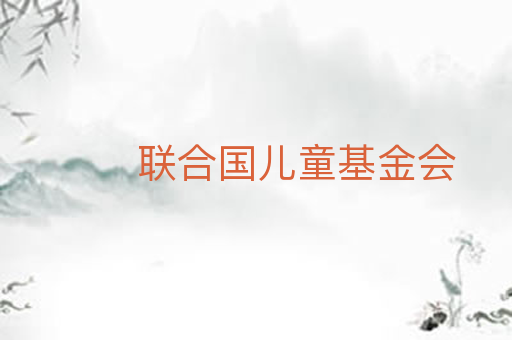 联合国儿童基金会