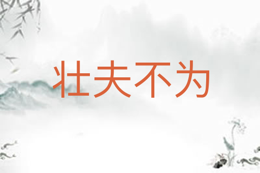 壮夫不为