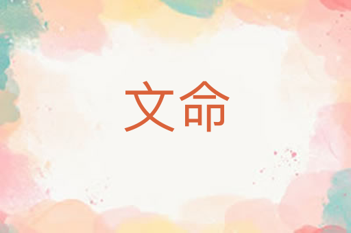 文命