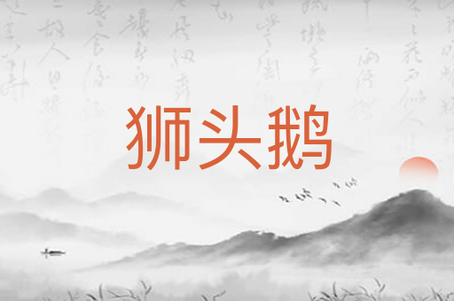 狮头鹅