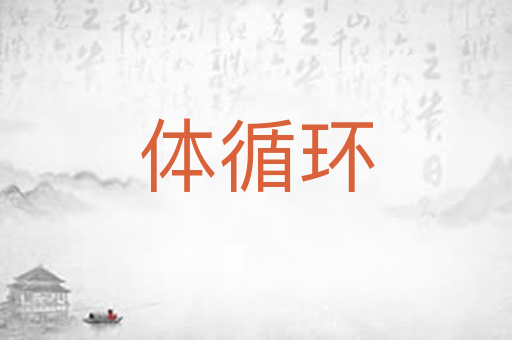 体循环