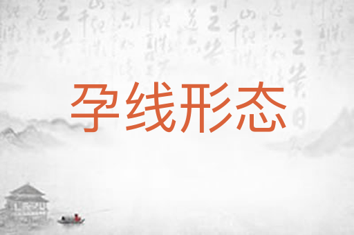 孕线形态