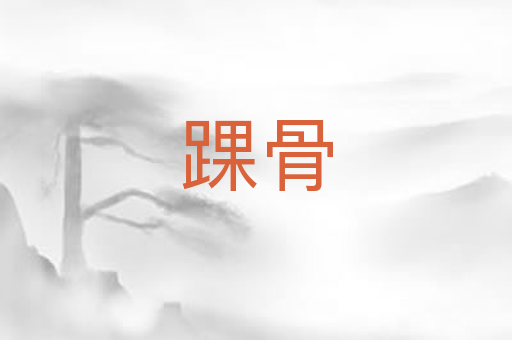 踝骨