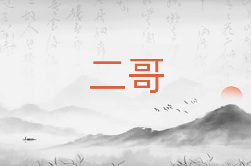 二哥