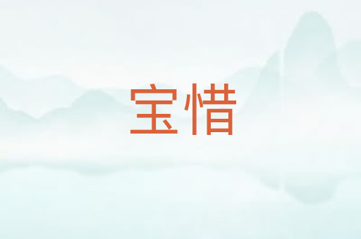 宝惜