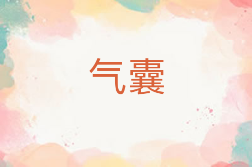 气囊