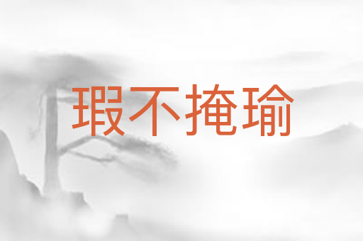 瑕不掩瑜