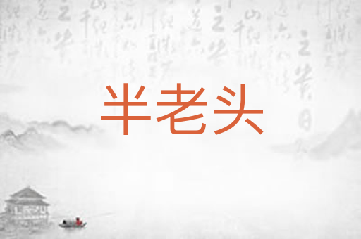 半老头
