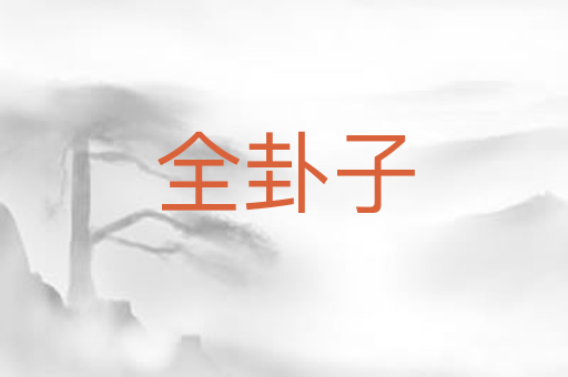 全卦子
