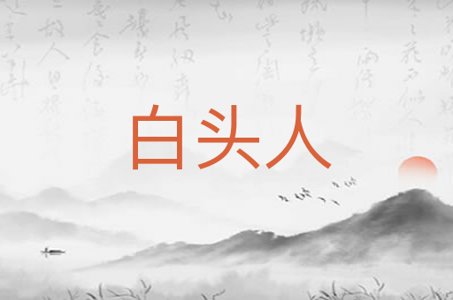 白头人