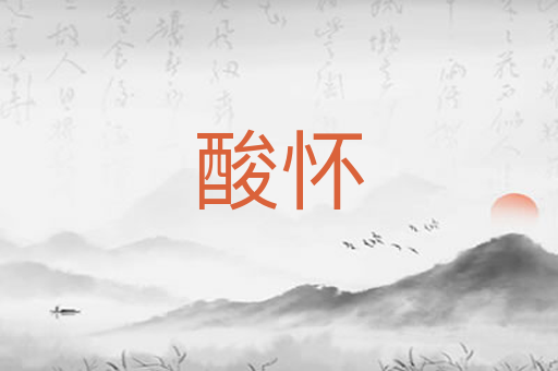 酸怀