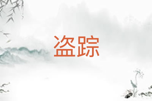 盗踪