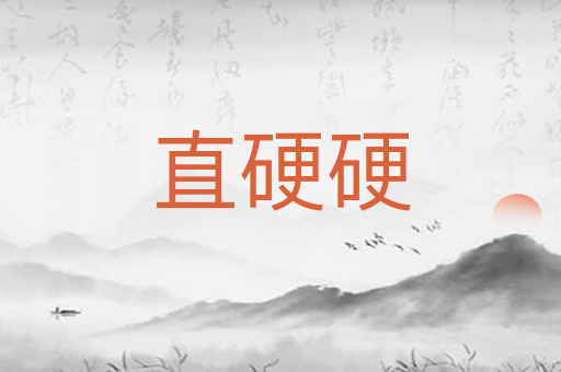 直硬硬