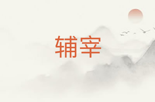 辅宰
