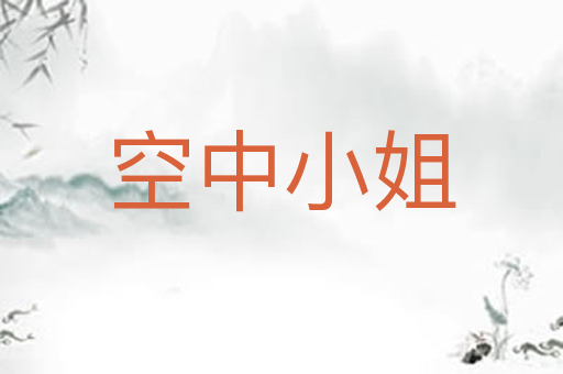 空中小姐