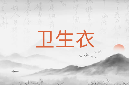 卫生衣