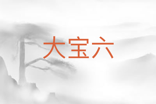 大宝六