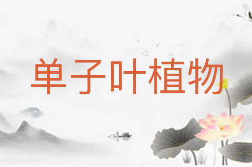 单子叶植物