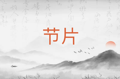 节片