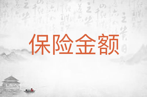 保险金额
