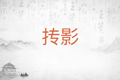 抟影