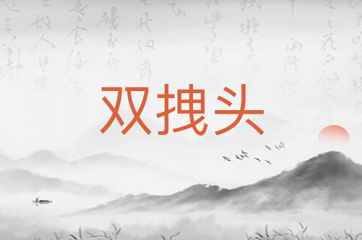双拽头
