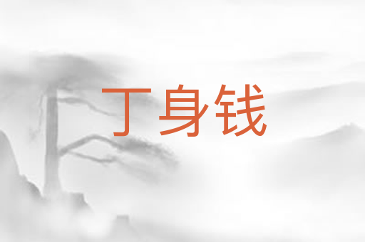 丁身钱