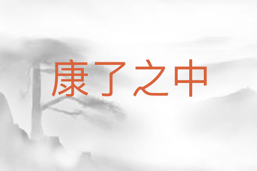 康了之中