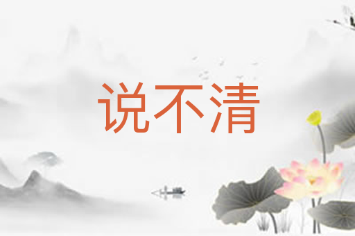 说不清